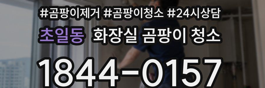 초일동 화장실 곰팡이 청소