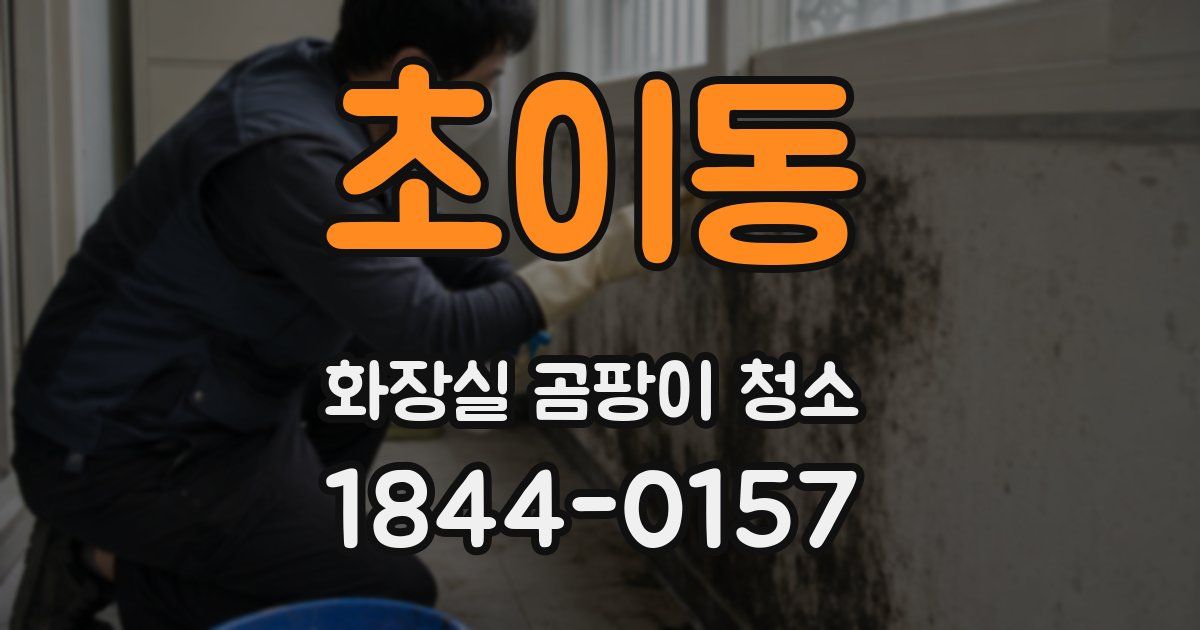 초이동 화장실 곰팡이 청소
