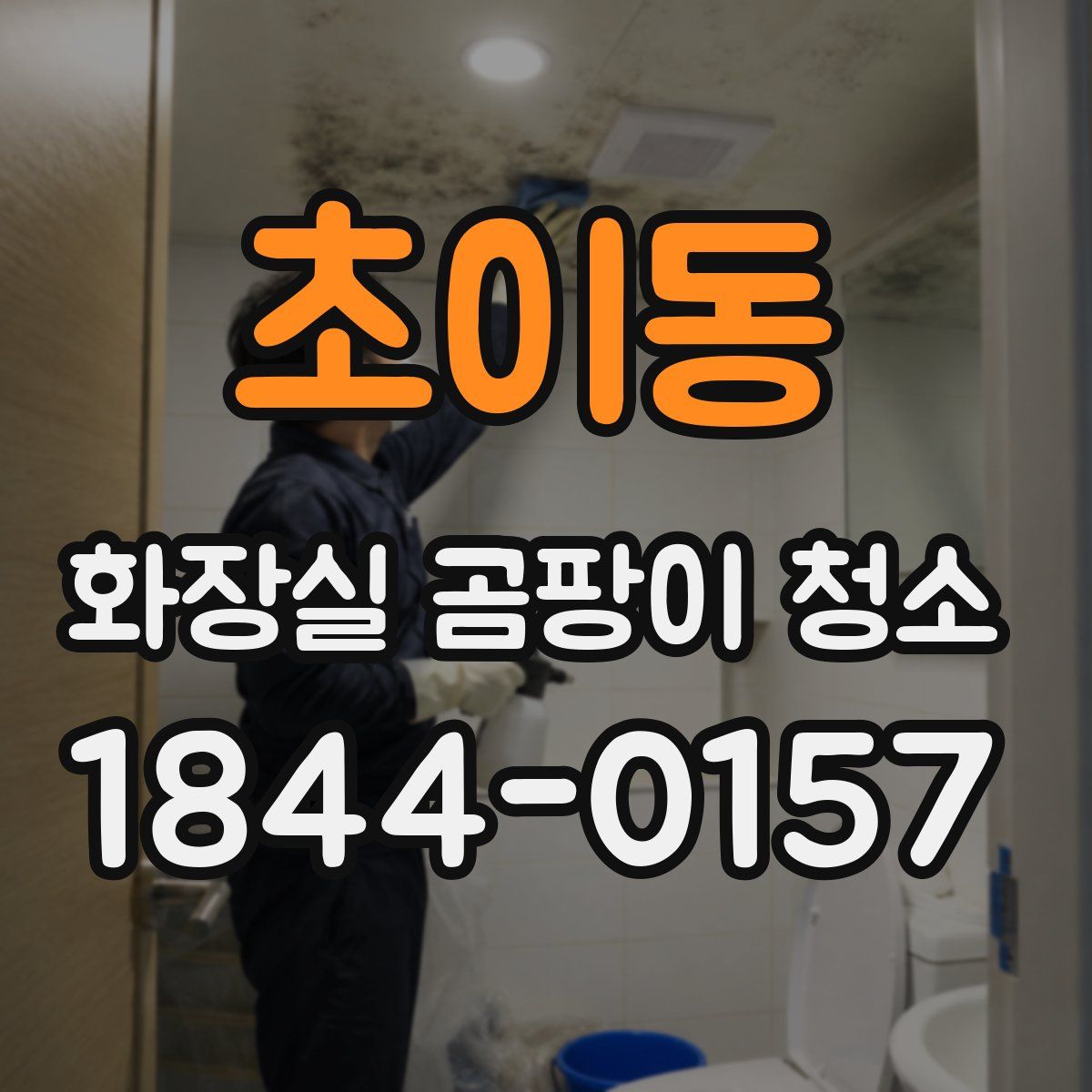 초이동 화장실 곰팡이 청소