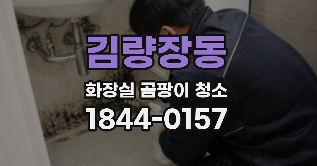 김량장동 화장실 곰팡이 청소