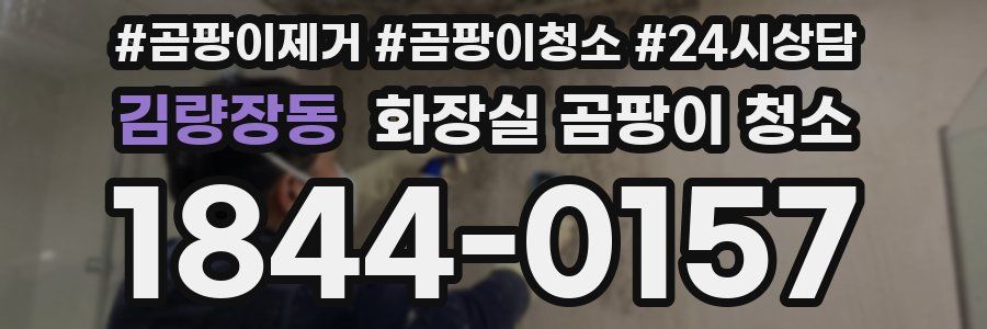 김량장동 화장실 곰팡이 청소