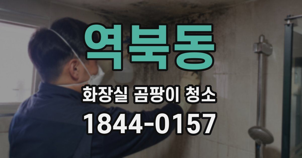 역북동 화장실 곰팡이 청소