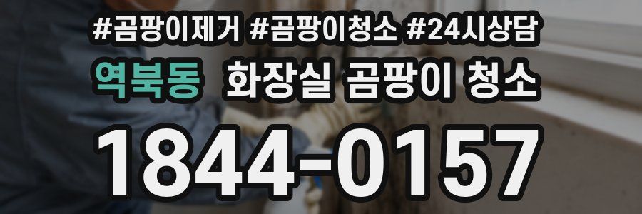 역북동 화장실 곰팡이 청소