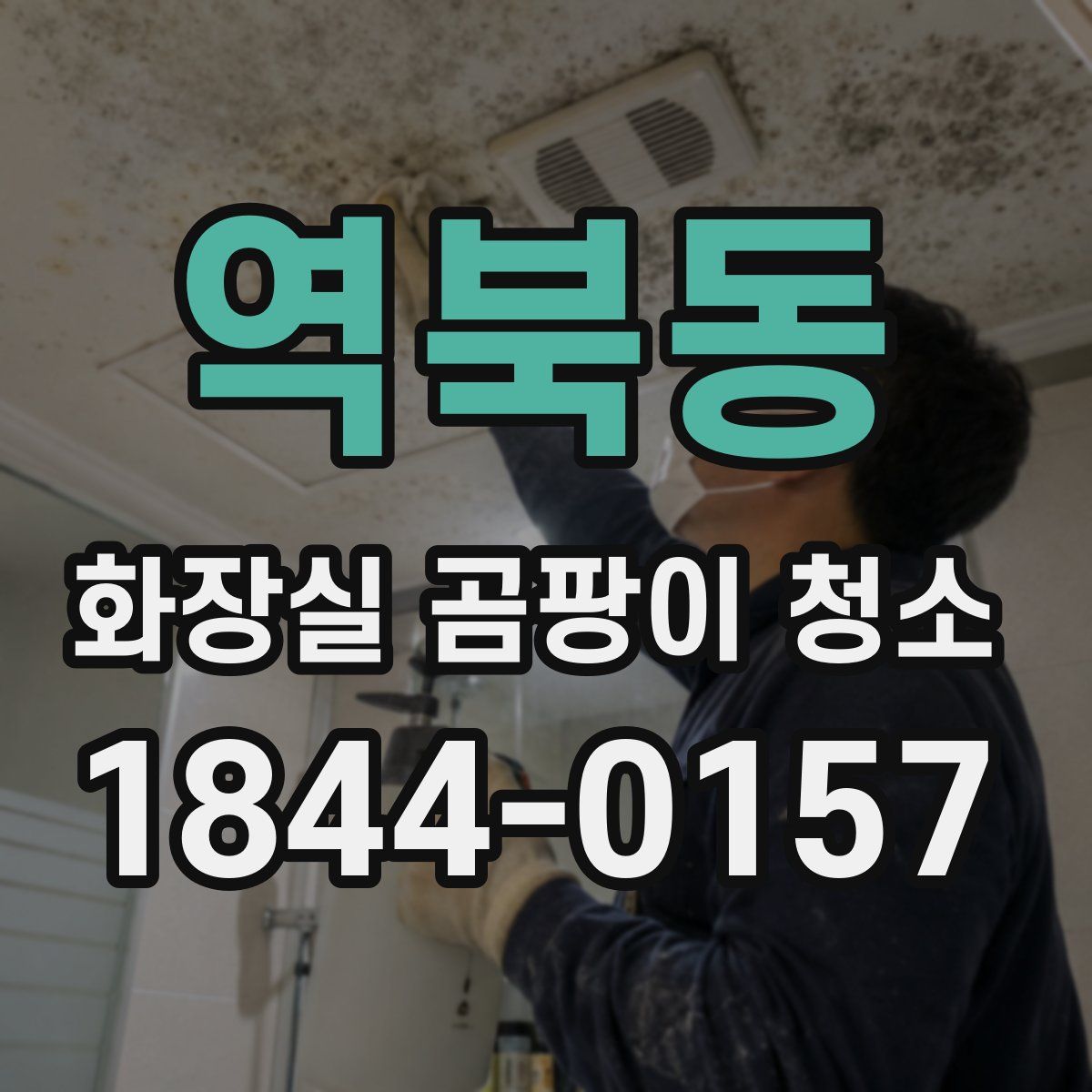 역북동 화장실 곰팡이 청소