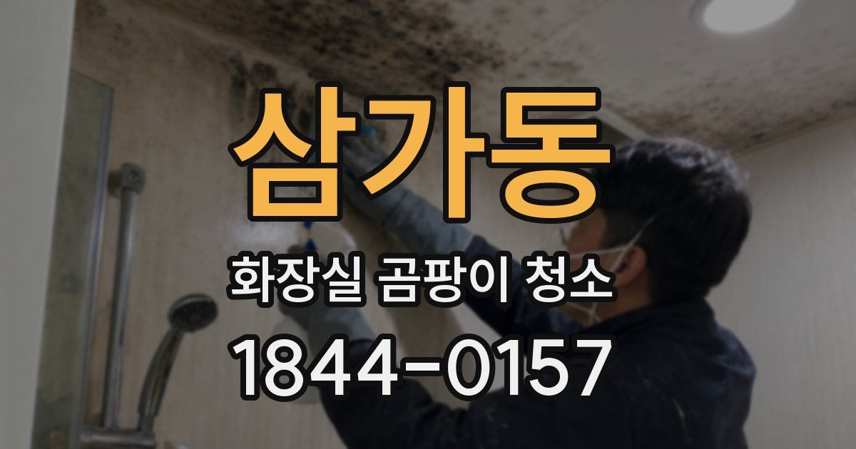 삼가동 화장실 곰팡이 청소