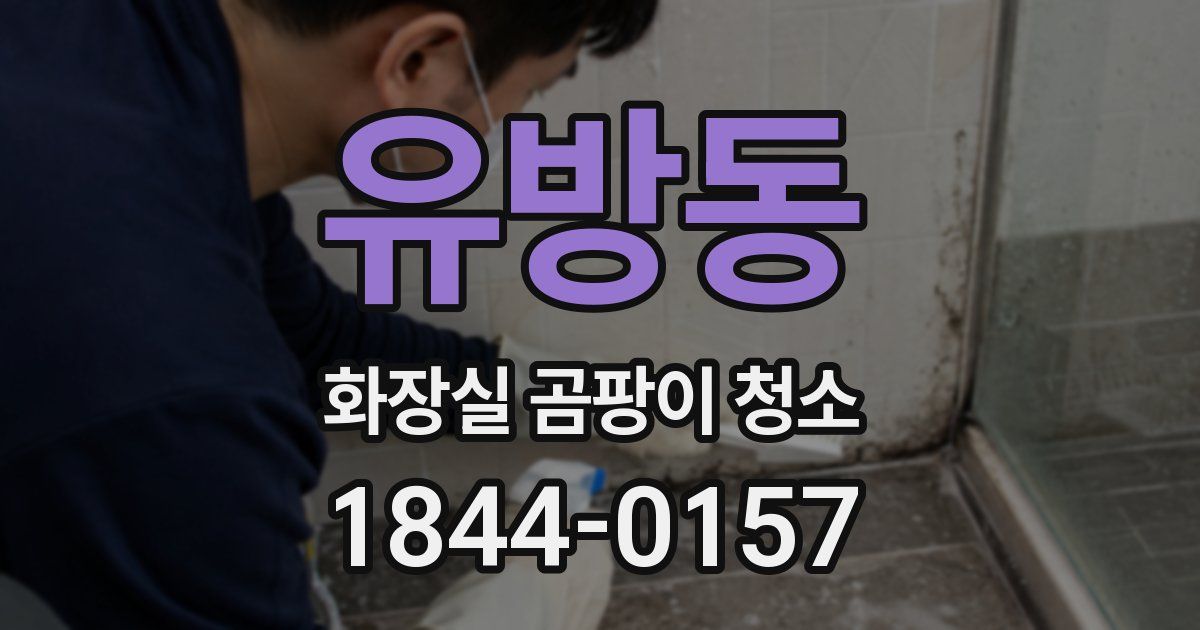 유방동 화장실 곰팡이 청소