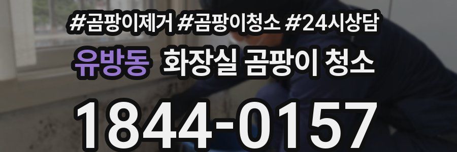 유방동 화장실 곰팡이 청소