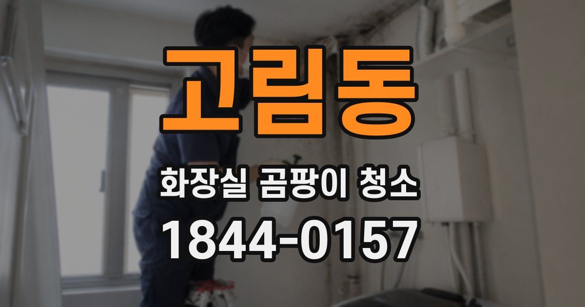 고림동 화장실 곰팡이 청소