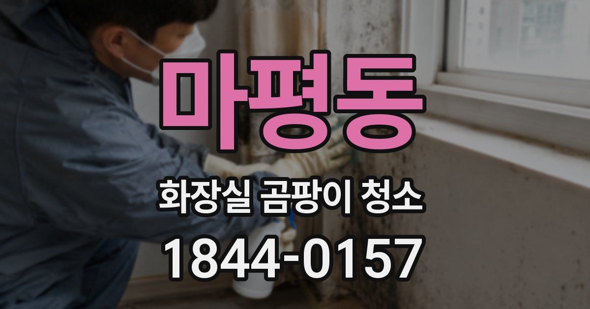 마평동 화장실 곰팡이 청소
