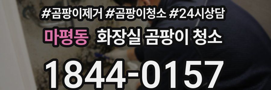 마평동 화장실 곰팡이 청소