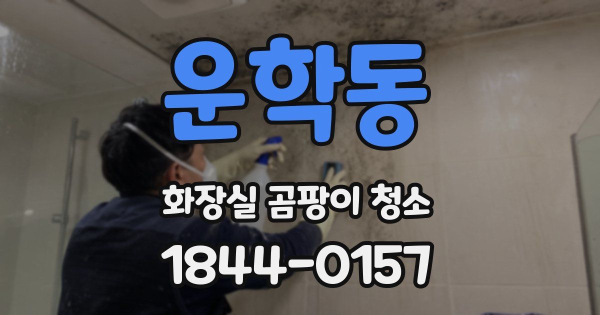 운학동 화장실 곰팡이 청소