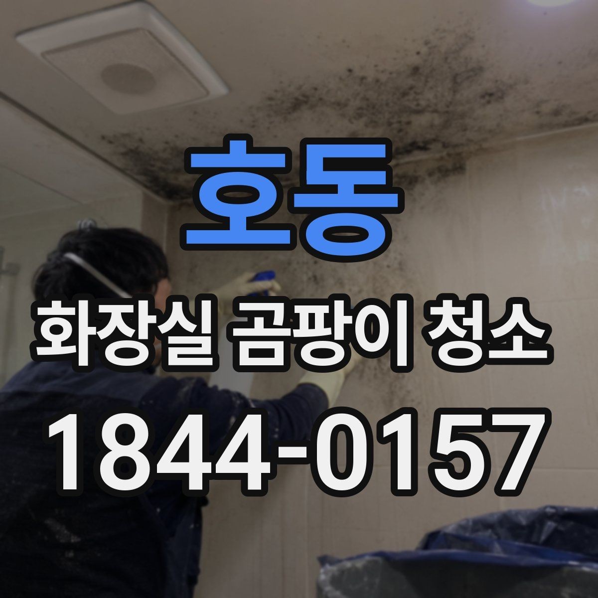호동 화장실 곰팡이 청소 습기 원인부터 확인하는 정리법