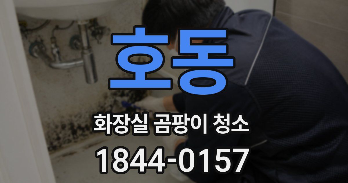 호동 화장실 곰팡이 청소
