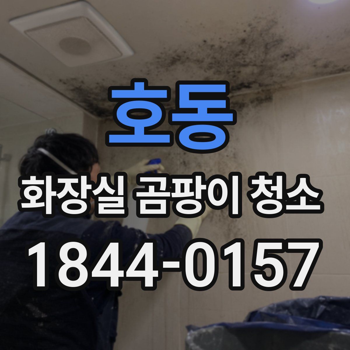 호동 화장실 곰팡이 청소