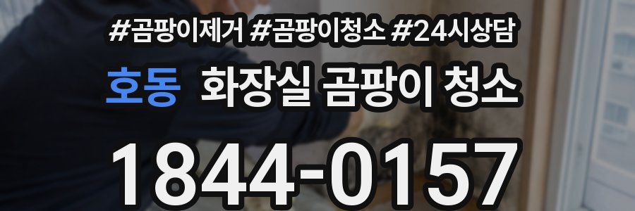 호동 화장실 곰팡이 청소