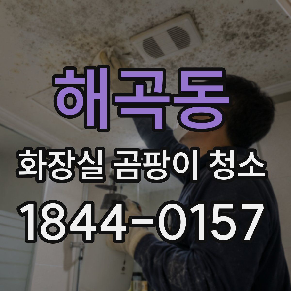 해곡동 화장실 곰팡이 청소