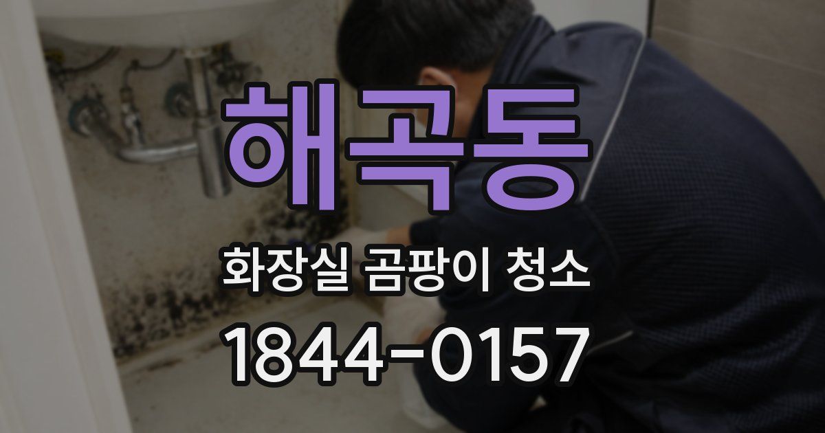해곡동 화장실 곰팡이 청소