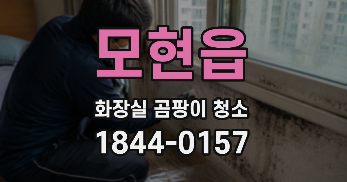 모현읍 화장실 곰팡이 청소