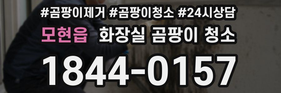 모현읍 화장실 곰팡이 청소