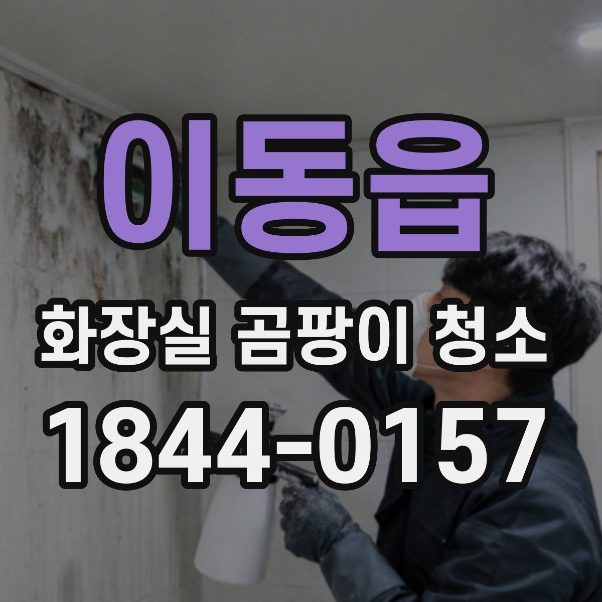 이동읍 화장실 곰팡이 청소