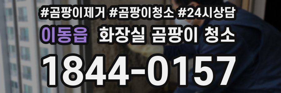 이동읍 화장실 곰팡이 청소