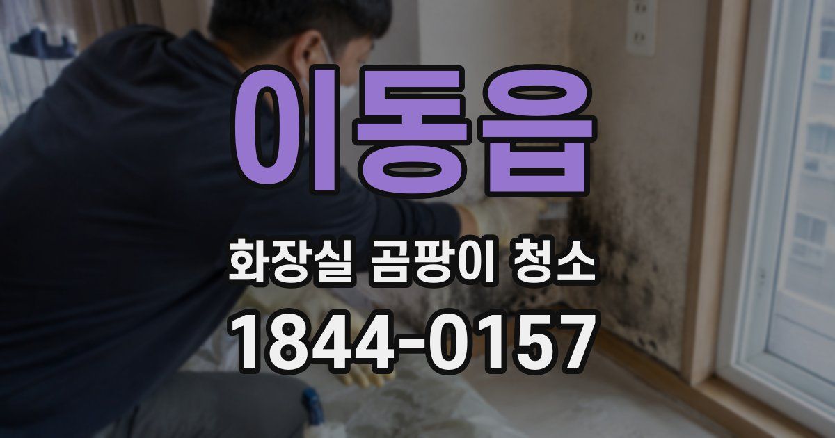 이동읍 화장실 곰팡이 청소