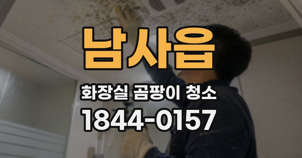 남사읍 화장실 곰팡이 청소