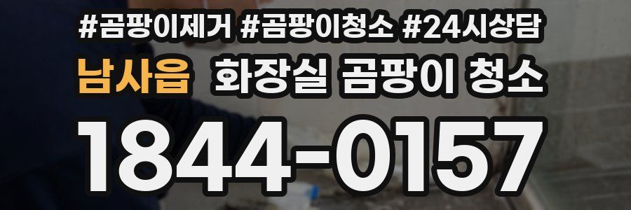 남사읍 화장실 곰팡이 청소