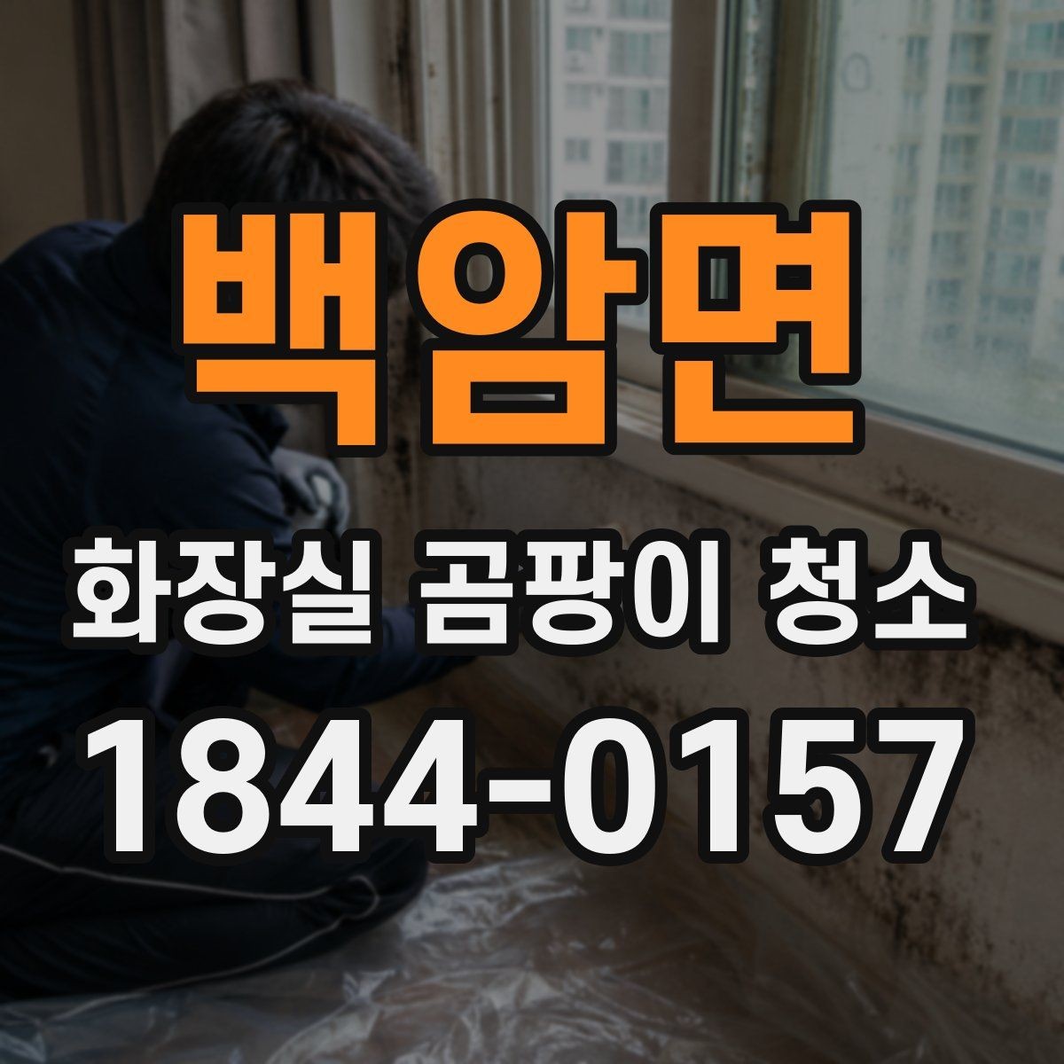 백암면 화장실 곰팡이 청소 사각지대까지 고려한 관리 순서