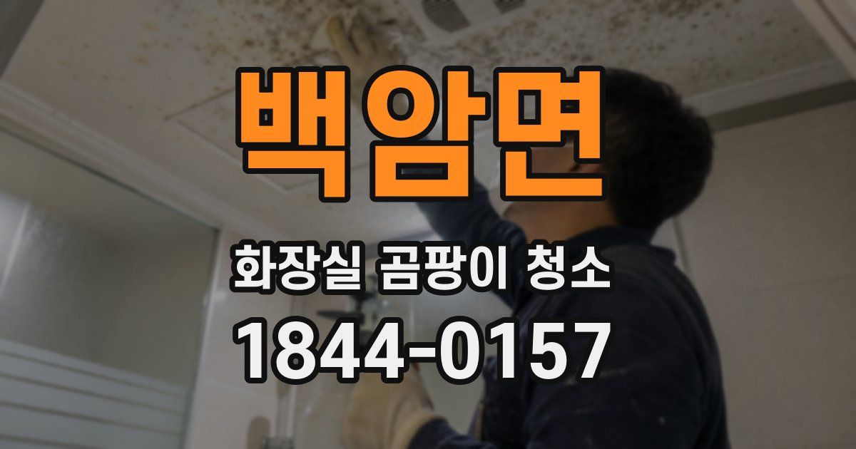 백암면 화장실 곰팡이 청소