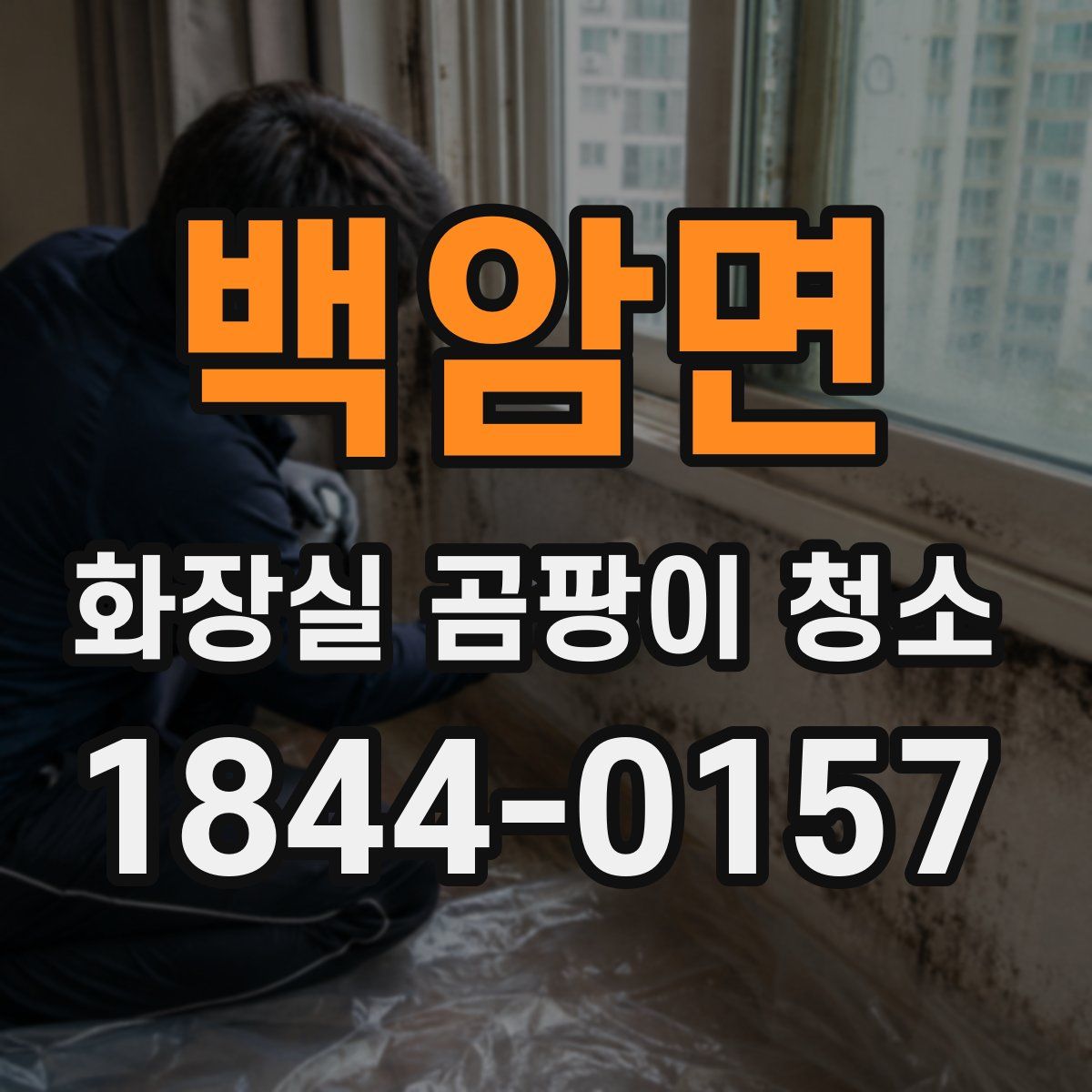 백암면 화장실 곰팡이 청소