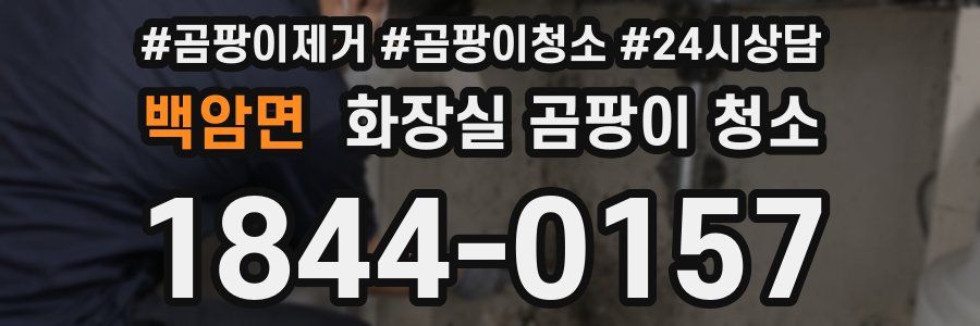 백암면 화장실 곰팡이 청소