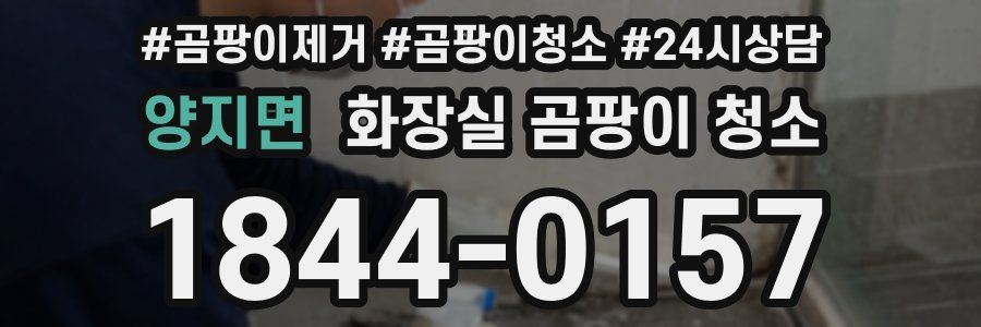 양지면 화장실 곰팡이 청소
