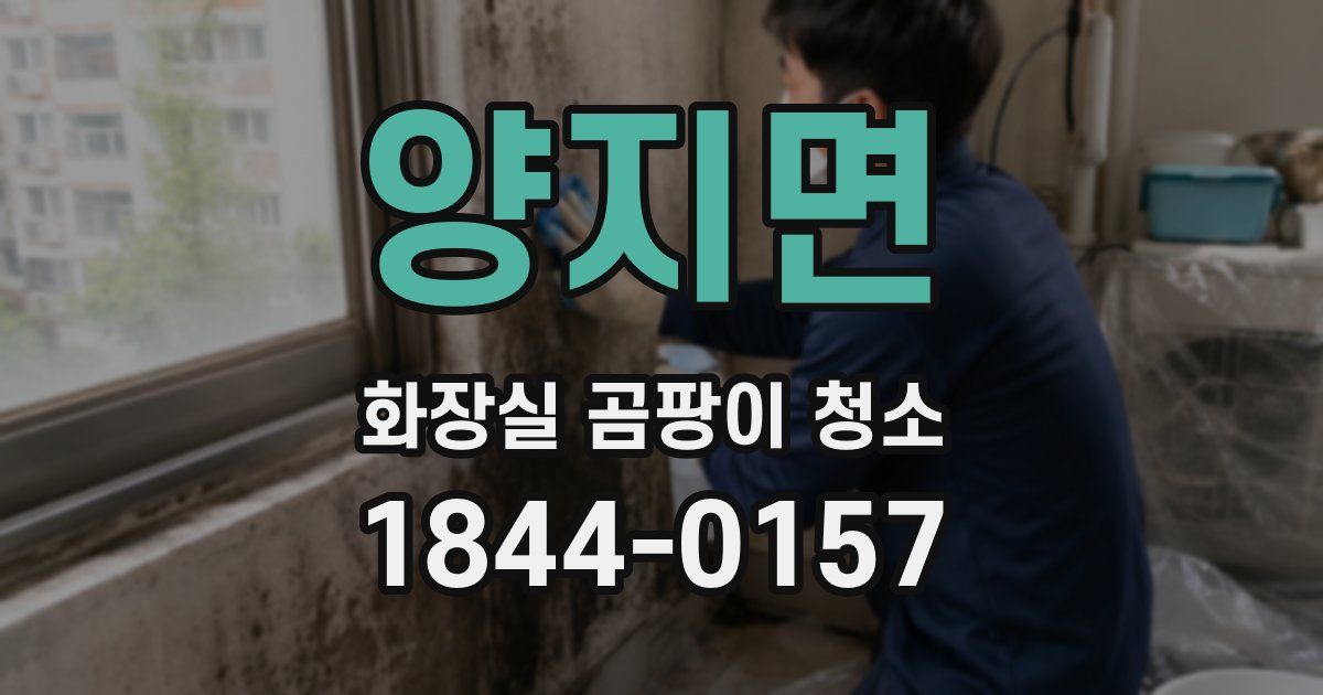 양지면 화장실 곰팡이 청소