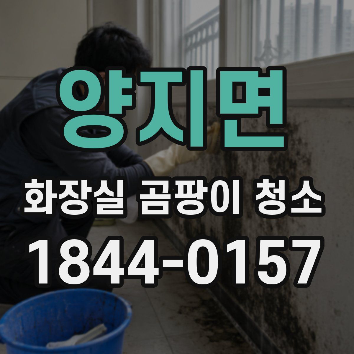 양지면 화장실 곰팡이 청소