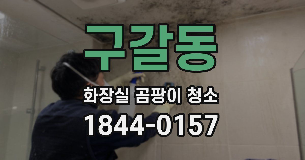 구갈동 화장실 곰팡이 청소