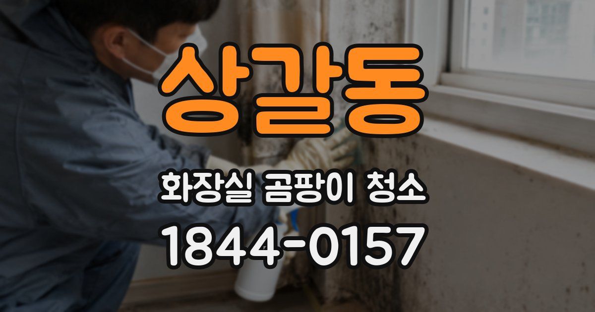 상갈동 화장실 곰팡이 청소