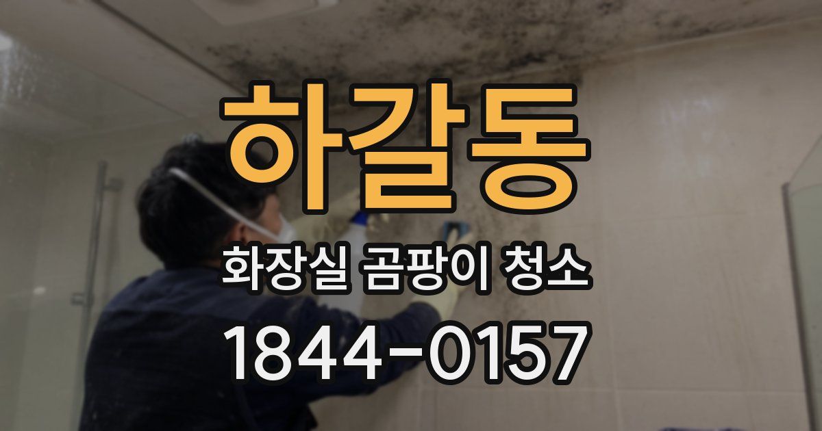하갈동 화장실 곰팡이 청소