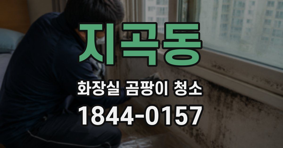 지곡동 화장실 곰팡이 청소