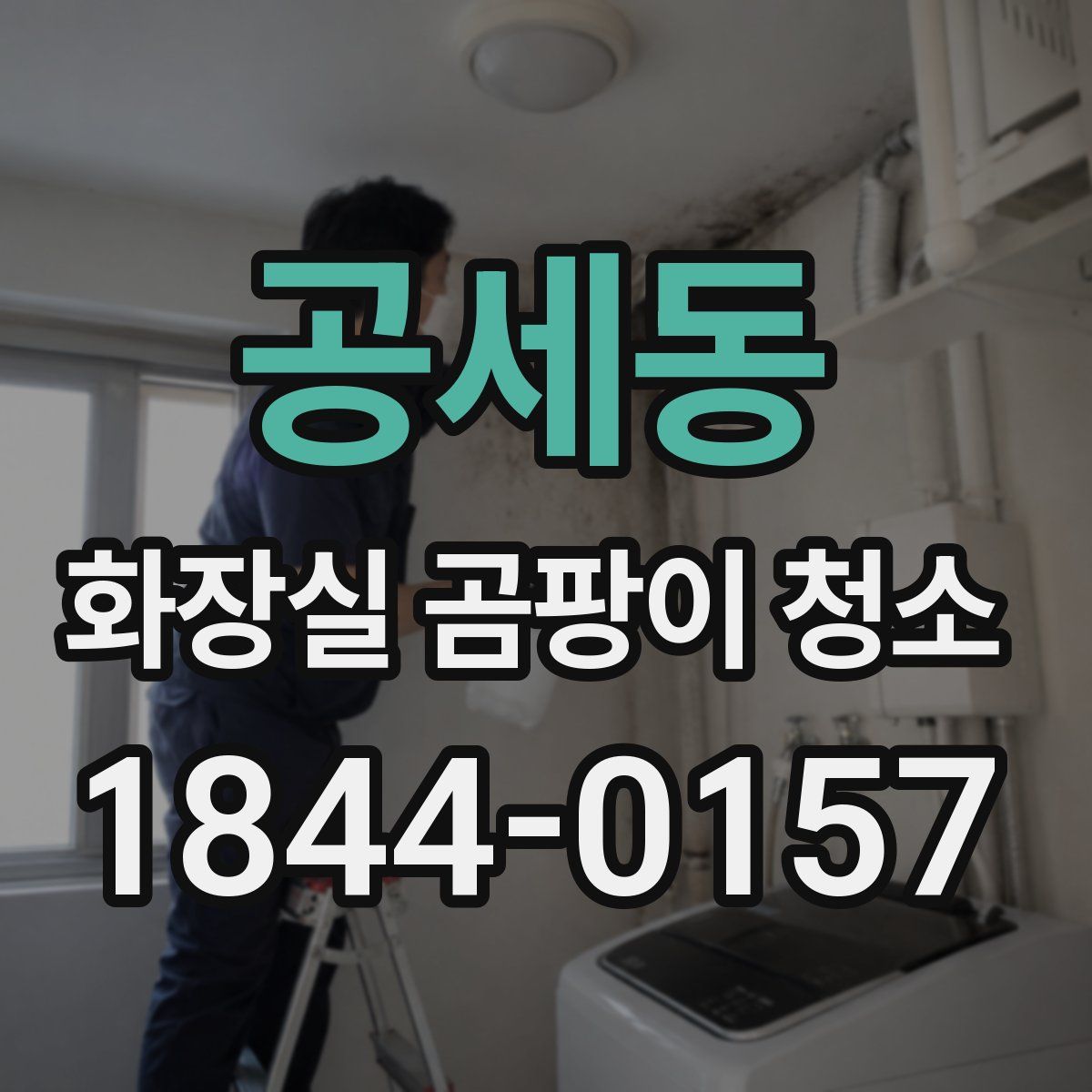 공세동 화장실 곰팡이 청소