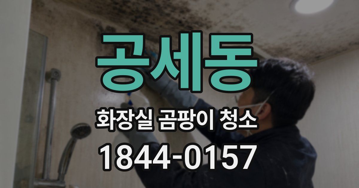 공세동 화장실 곰팡이 청소