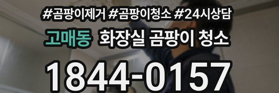 고매동 화장실 곰팡이 청소