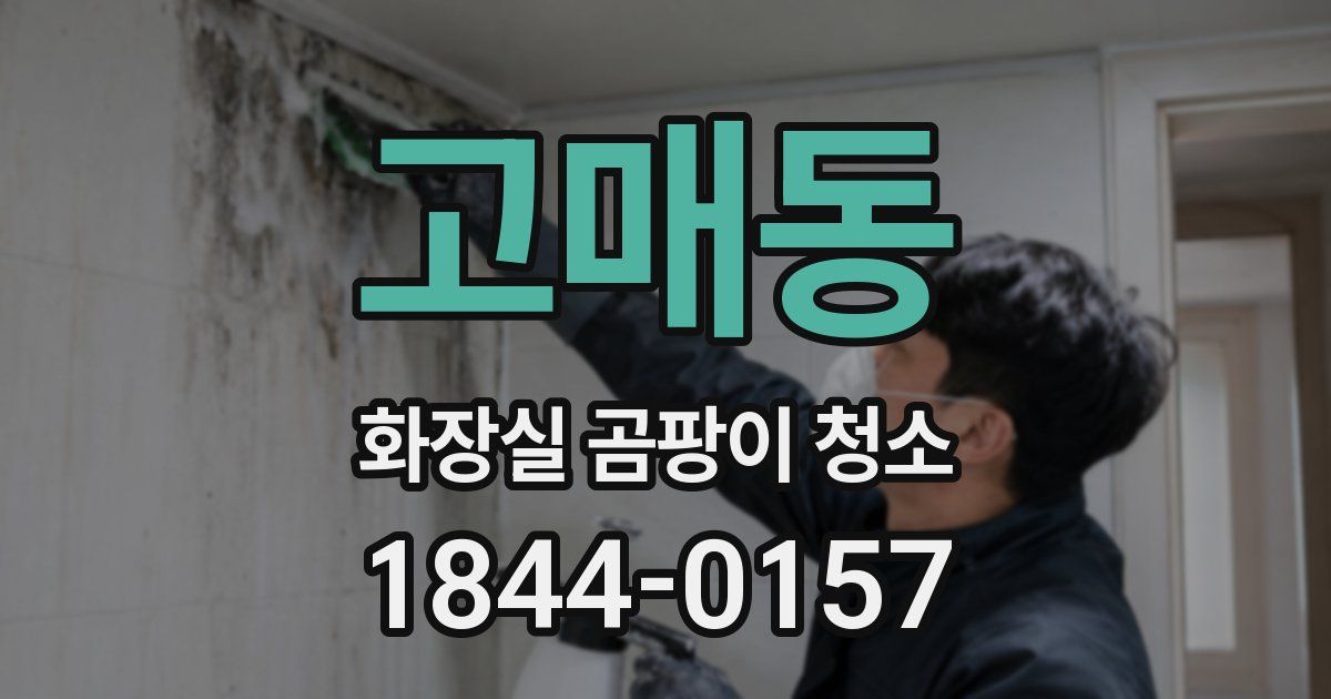고매동 화장실 곰팡이 청소