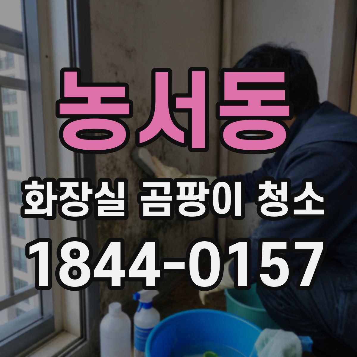 농서동 화장실 곰팡이 청소