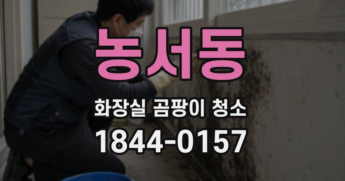 농서동 화장실 곰팡이 청소