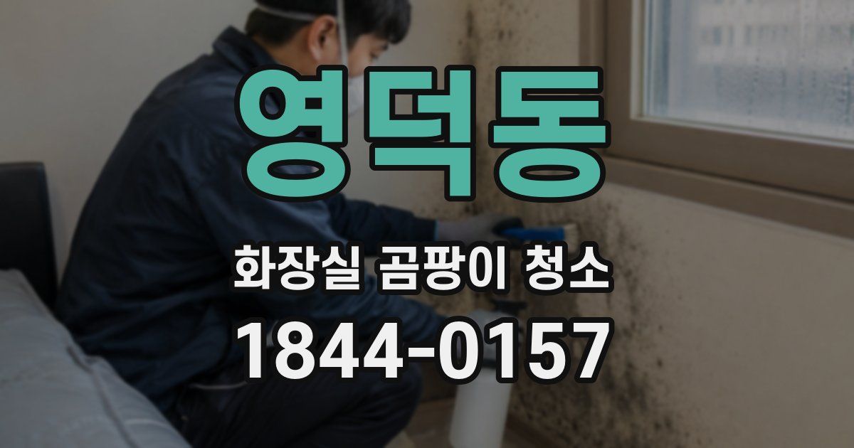 영덕동 화장실 곰팡이 청소