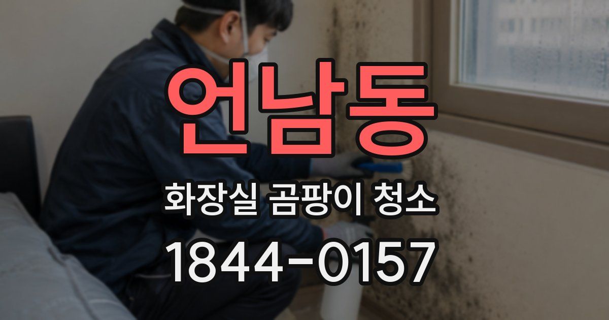 언남동 화장실 곰팡이 청소