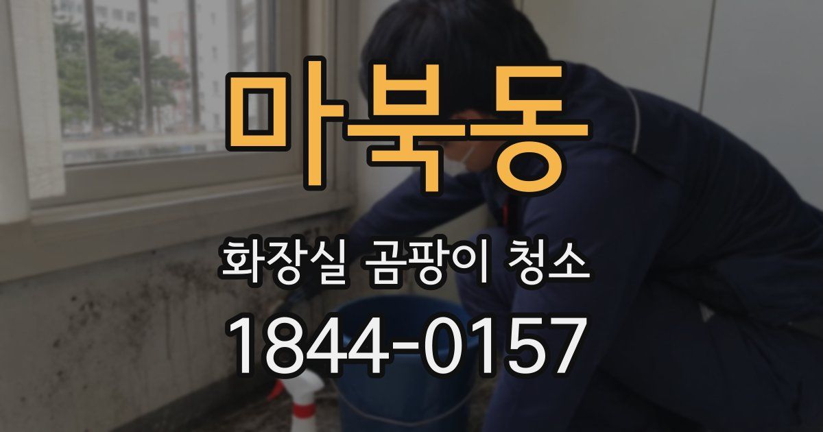 마북동 화장실 곰팡이 청소