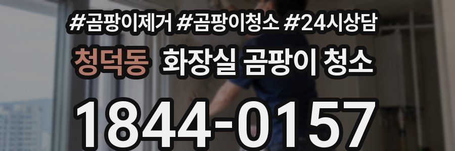 청덕동 화장실 곰팡이 청소
