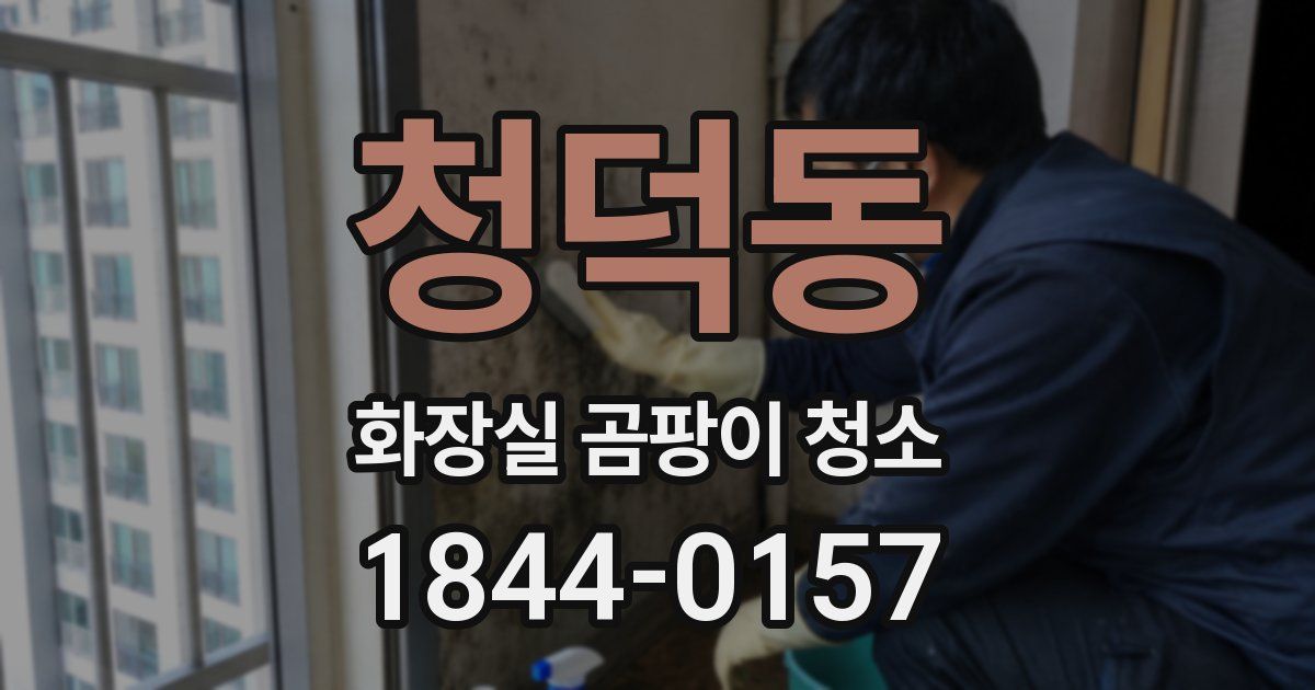 청덕동 화장실 곰팡이 청소